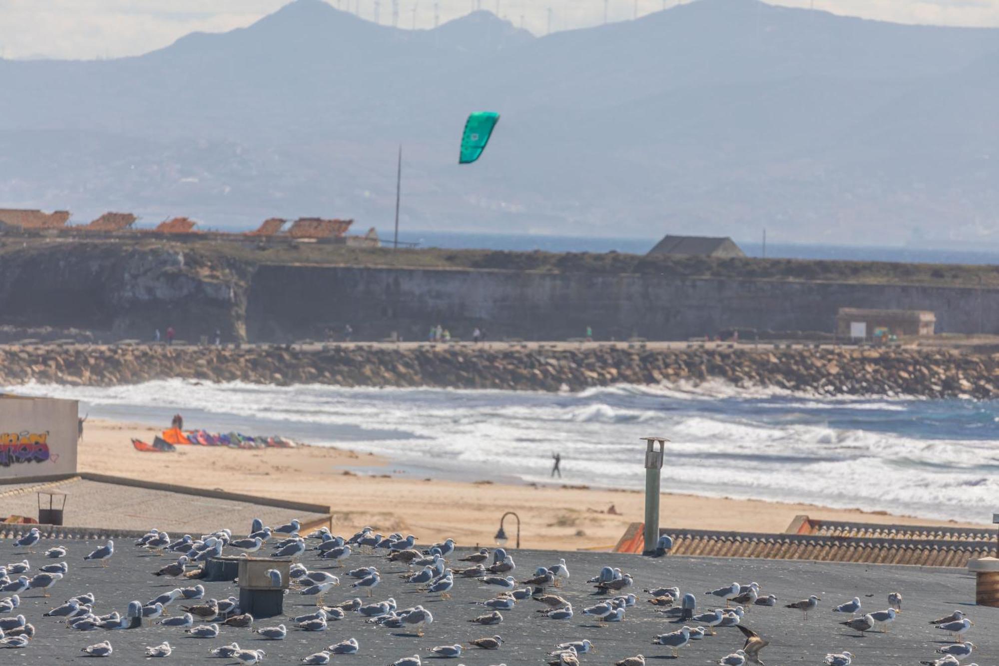 Los Lances Beach Apartments Tarifa Eksteriør bilde
